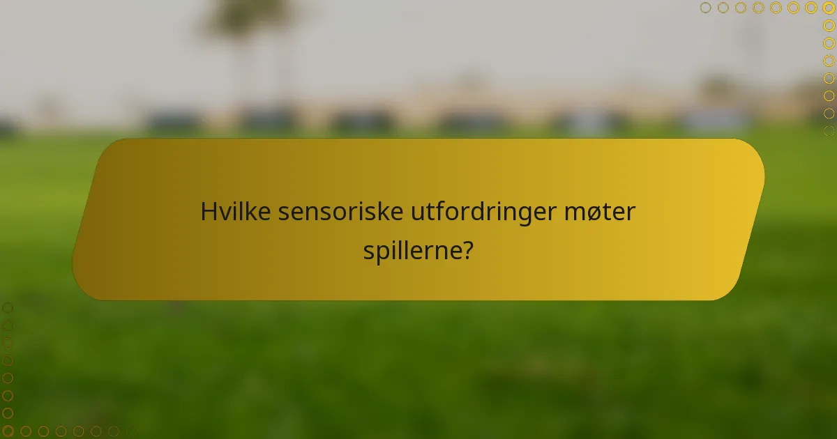 Hvilke sensoriske utfordringer møter spillerne?