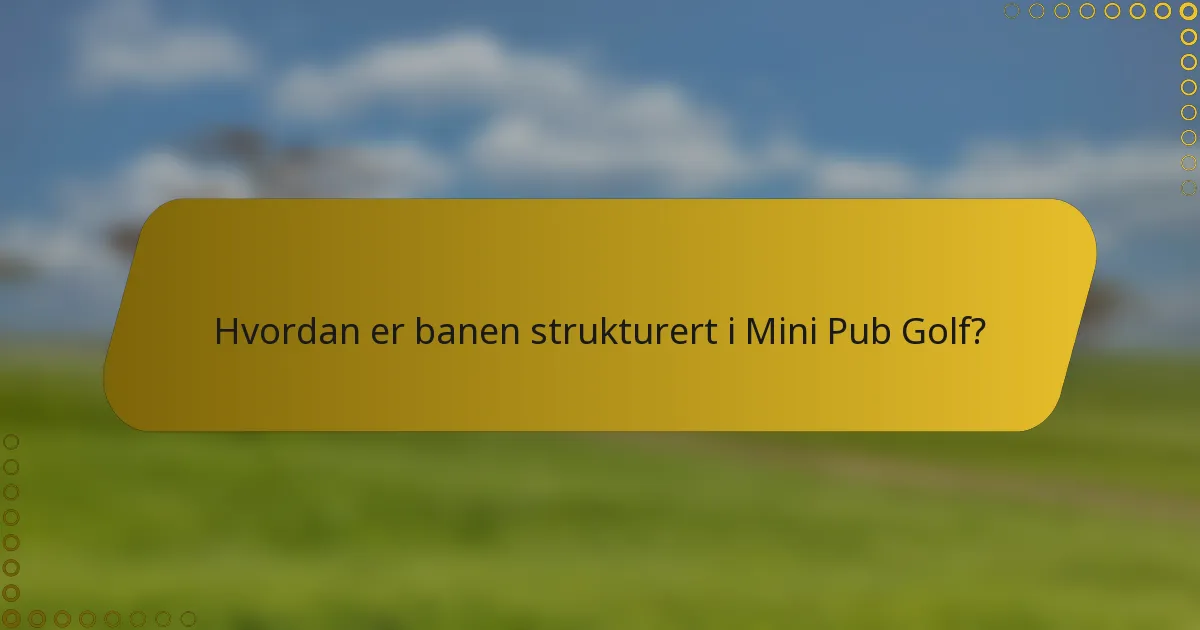 Hvordan er banen strukturert i Mini Pub Golf?